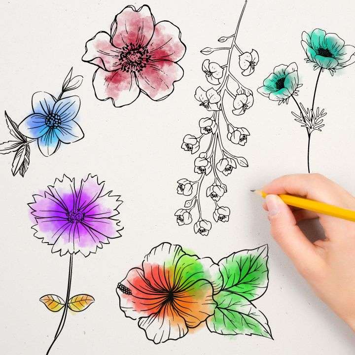 A person holding a pencil and drawing different kinds of flowers with colors.