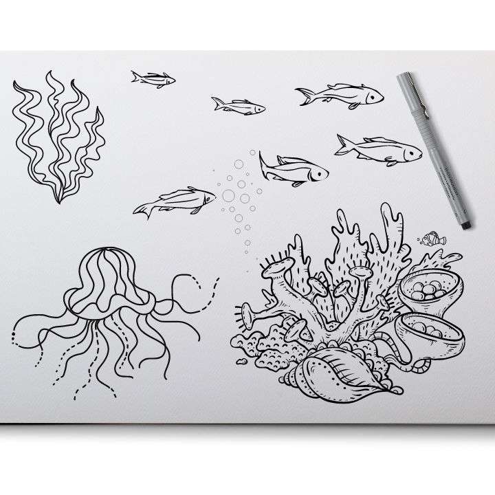 A sketch of ocean life with giant jellyfish, a school of fish, and coral reef