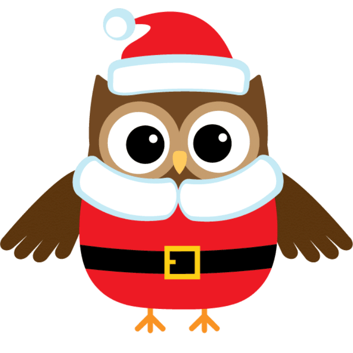 Owl Santa