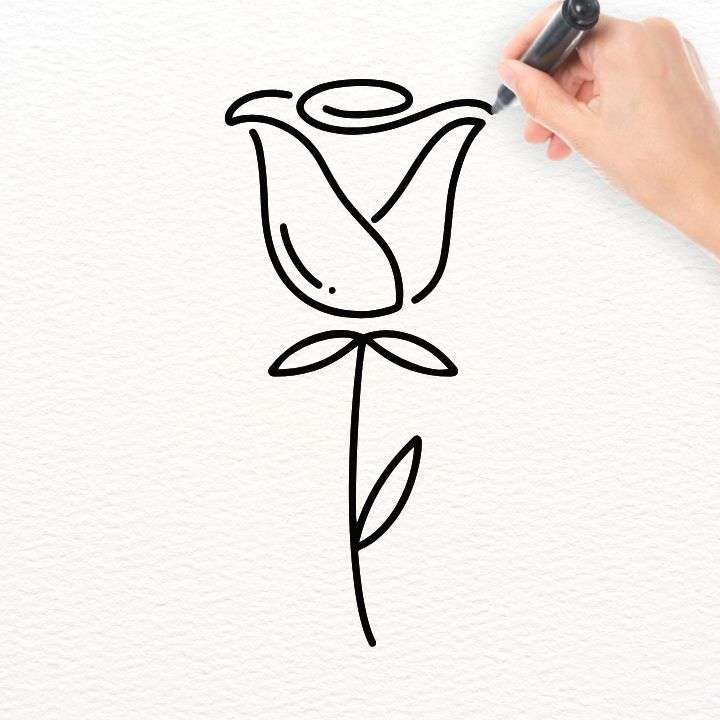 Rose Easy Drawing
