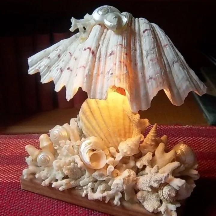 Seashell Lampshade