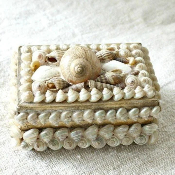 Seashell Trinket Boxes