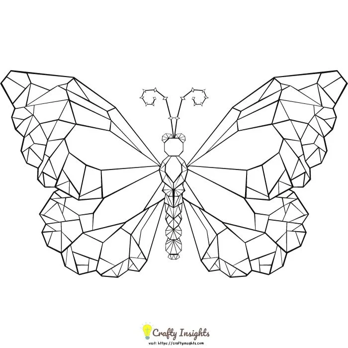 Creative geometric butterfly drawing