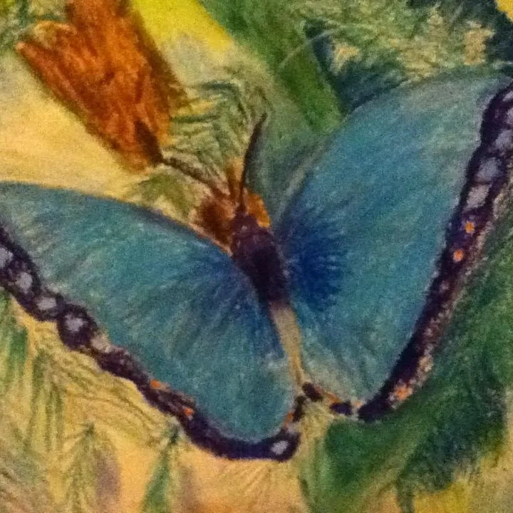 Impressionist Butterfly by XimaiSUZUMIYAKH