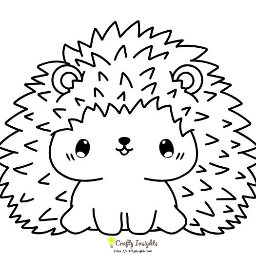 Hedgehog Drawing Idea