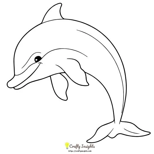 Dolphin Drawing Idea
