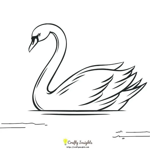Elegant Swan Drawing Idea