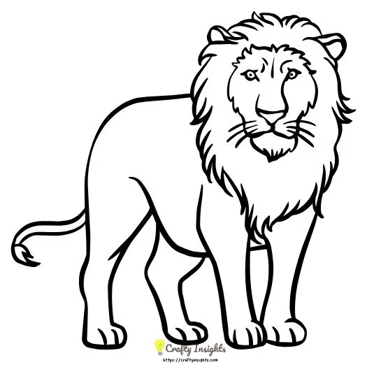 Simple Lion Drawing Idea