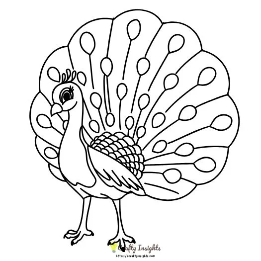 Peacock Drawing Idea