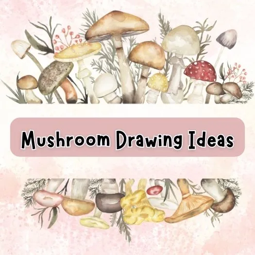 Mushroom Drawing Ideas in Watercolor Illustration