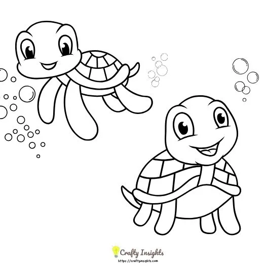 Tortoise Drawing Ideas