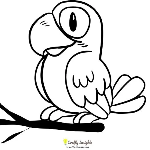 Simple Parrot Drawing Idea