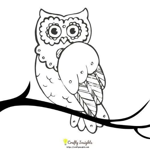 Simple Owl Drawing Idea