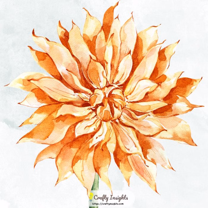 DIY watercolor Dahlia