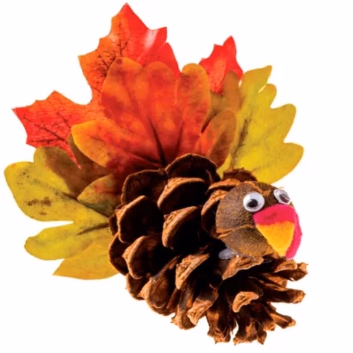 Pinecone Turkey