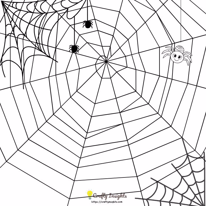 Spider Web Drawing