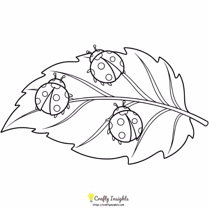 Group of Ladybugs Crawling on a Large Leaf