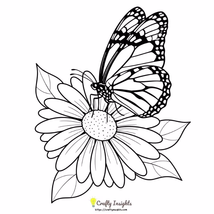 Monarch Butterfly Landing on a Daisy